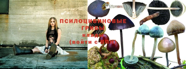 ALPHA PVP Арсеньев