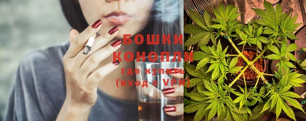 спиды Аркадак