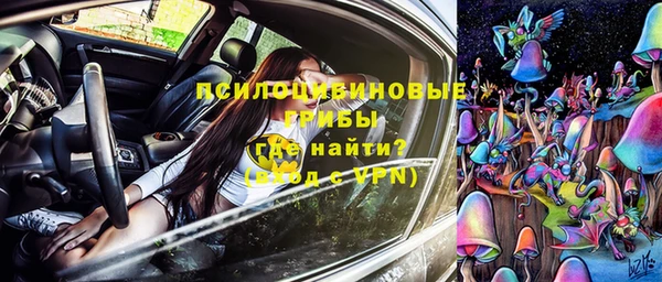 спиды Аркадак