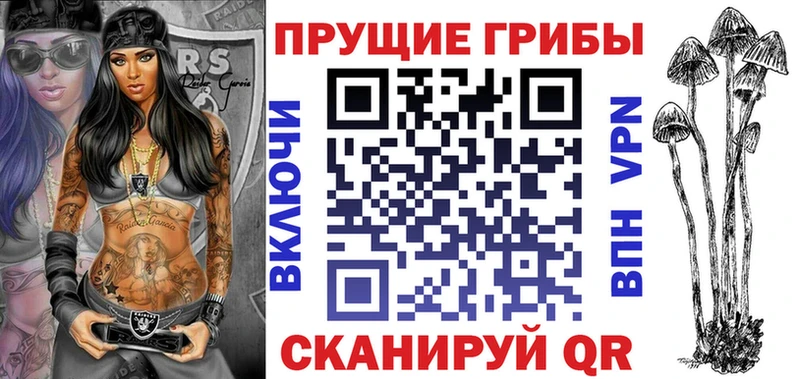 закладки  Слюдянка  mega ТОР  Галлюциногенные грибы мицелий 